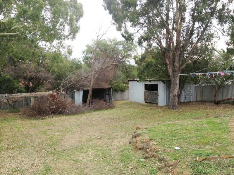 48 Jacaranda Crescent, Withers WA 6230