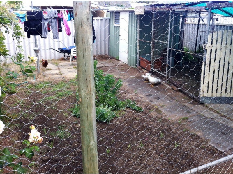 12 Miller Street, South Bunbury WA 6230