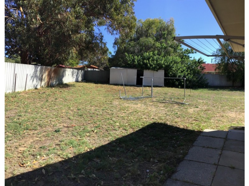 10 Mawson Place, Withers WA 6230