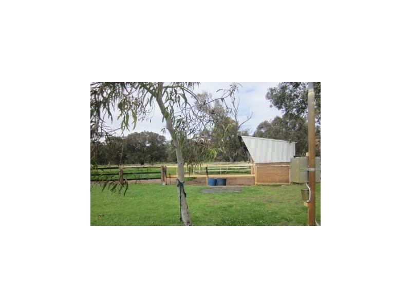 11 Peppermint Grove Road, Capel WA 6271