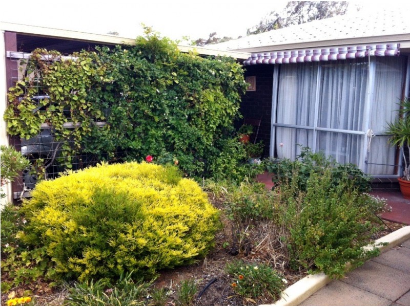 5a Hovea Street, South Bunbury WA 6230