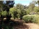 47 Loretta Avenue, Gelorup WA 6230