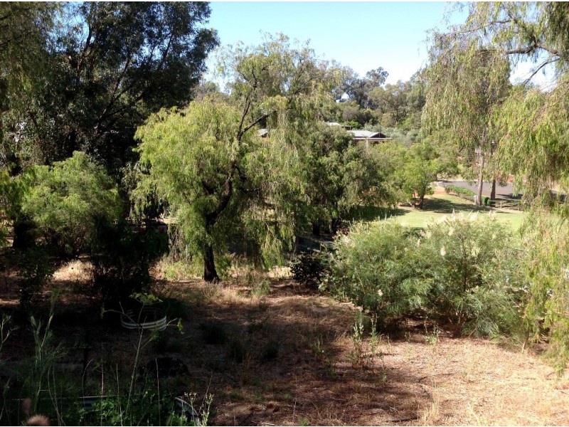 47 Loretta Avenue, Gelorup WA 6230