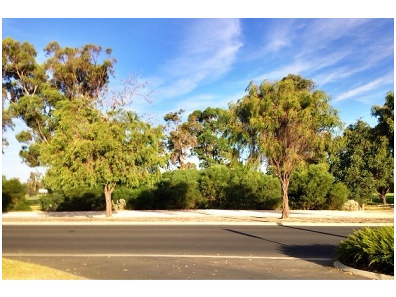 156 Dalyellup Boulevard, Dalyellup WA 6230