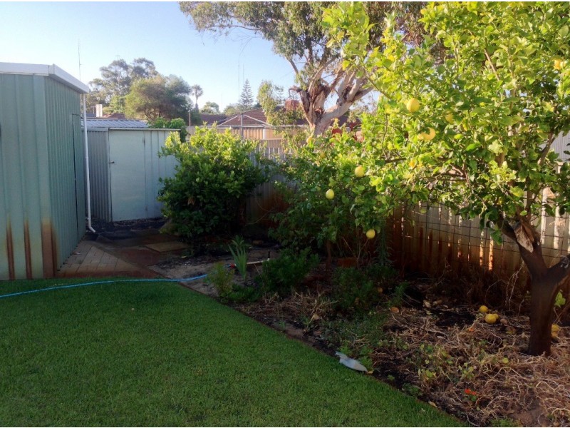 24b College Row, South Bunbury WA 6230