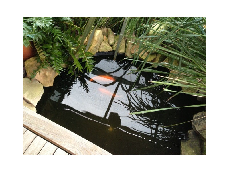 57 Matilda Av, Australind WA 6233