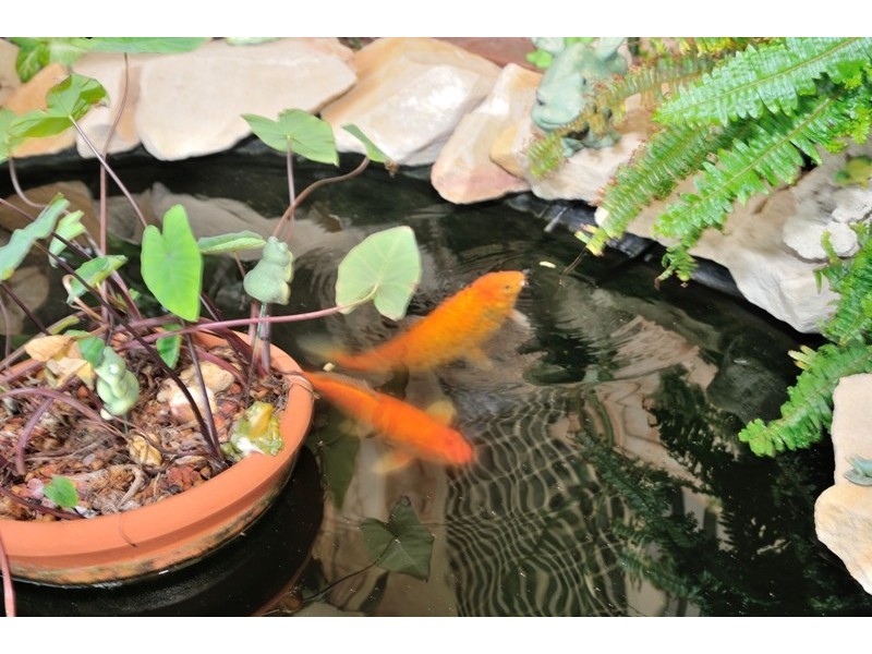 57 Matilda Av, Australind WA 6233