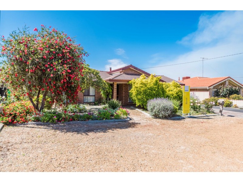 22 Webber Street, Carey Park WA 6230