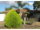 4 Palm Court, Eaton WA 6232