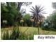 11 Little Place, Leschenault WA 6233