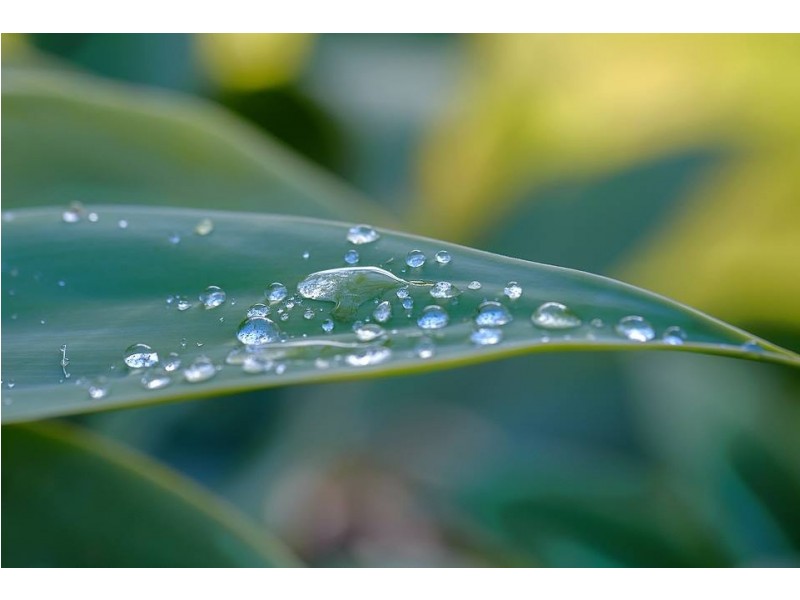 9 Nyabing Way, Withers WA 6230