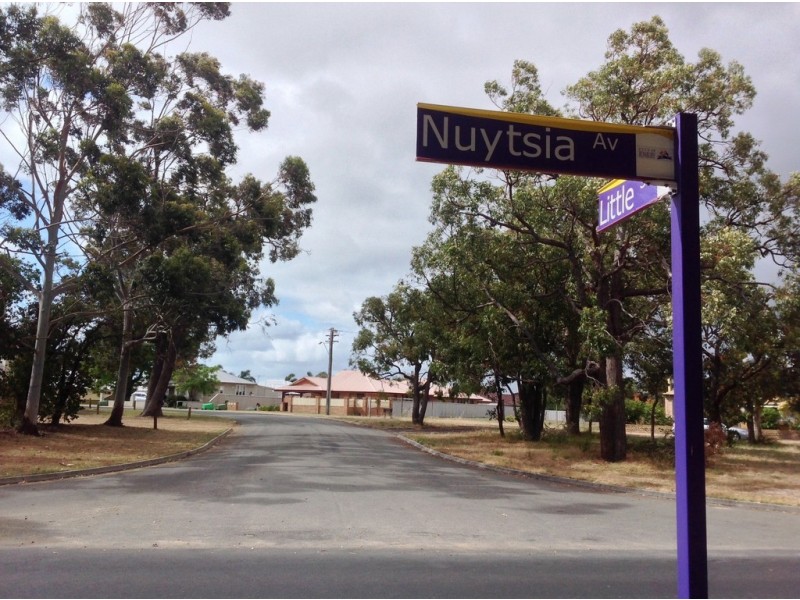 17 Little Street, Carey Park WA 6230