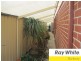 2 Cleveland Bay Avenue, Eaton WA 6232