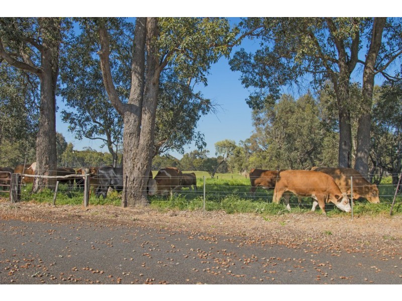 74-75 Hackett Road, Harvey WA 6220