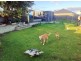 113 Braidwood Drive, Australind WA 6233
