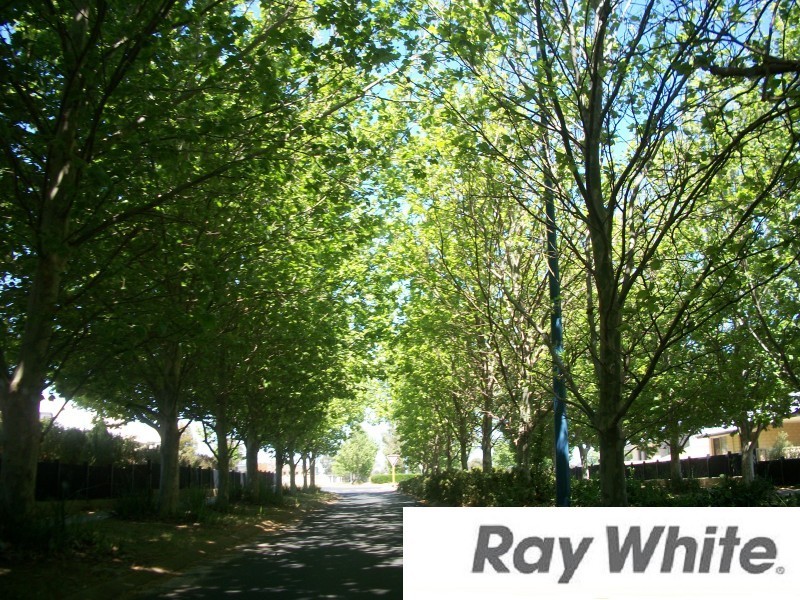 46 Macquarie Drive, Australind WA 6233