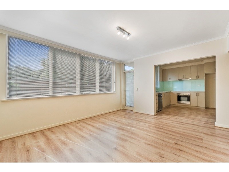 6/33 Albion, Box Hill VIC 3128