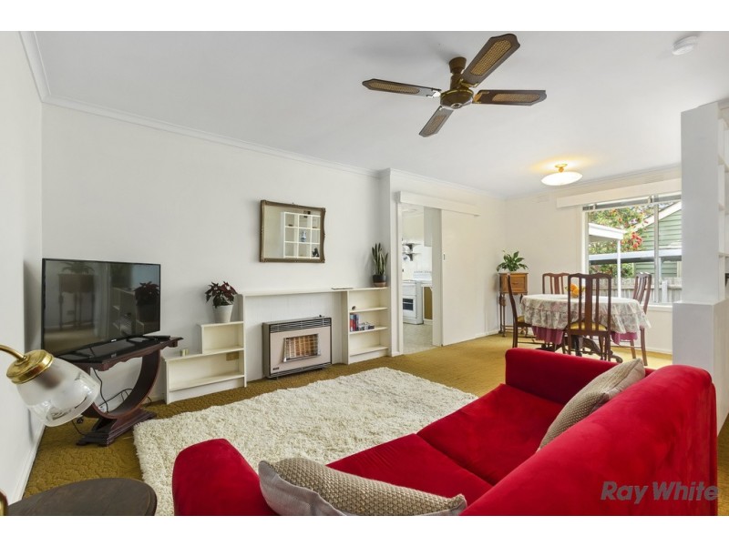 11A Nash Road, Box Hill South VIC 3128