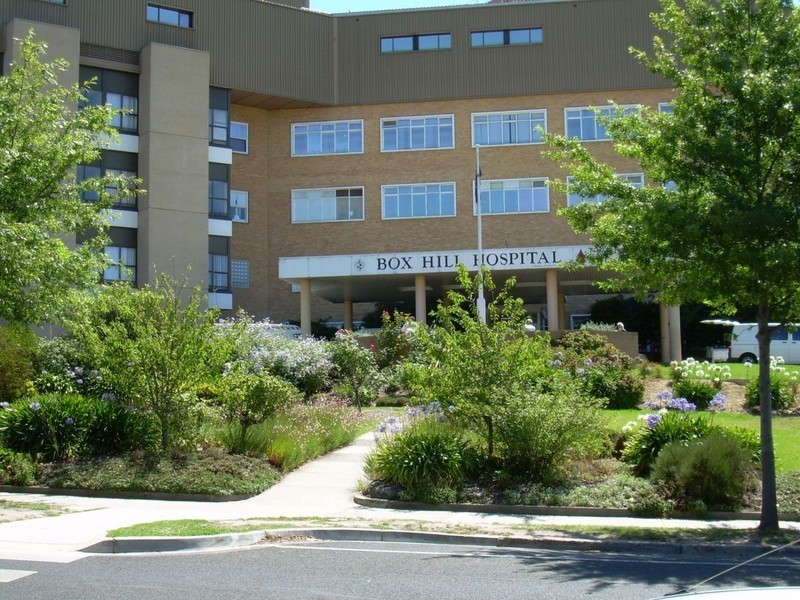 4/50 Nelson Road, Box Hill VIC 3128