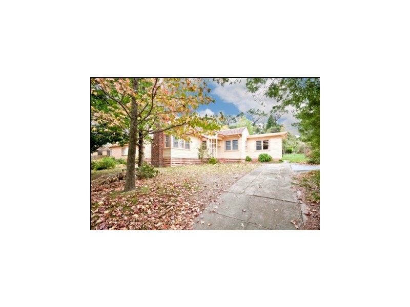 17 Sweetland Road, Box Hill VIC 3128