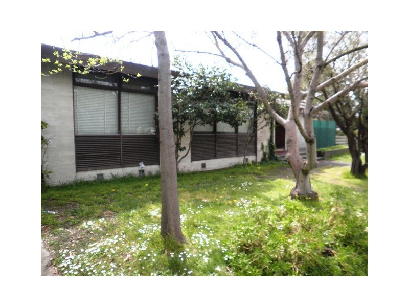 1097 Whitehorse Road, Box Hill VIC 3128