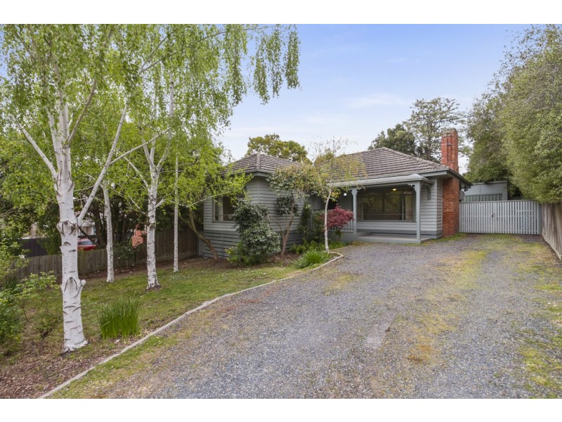 11 Halsey Street, Box Hill South VIC 3128