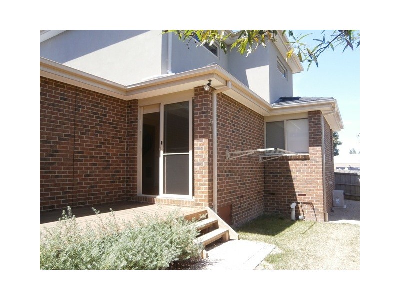 16 Halsey Street, Box Hill South VIC 3128