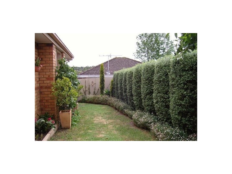 2/960 Station Street, Box Hill North VIC 3129