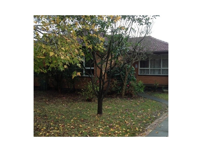 44 Harrison Street, Box Hill North VIC 3129