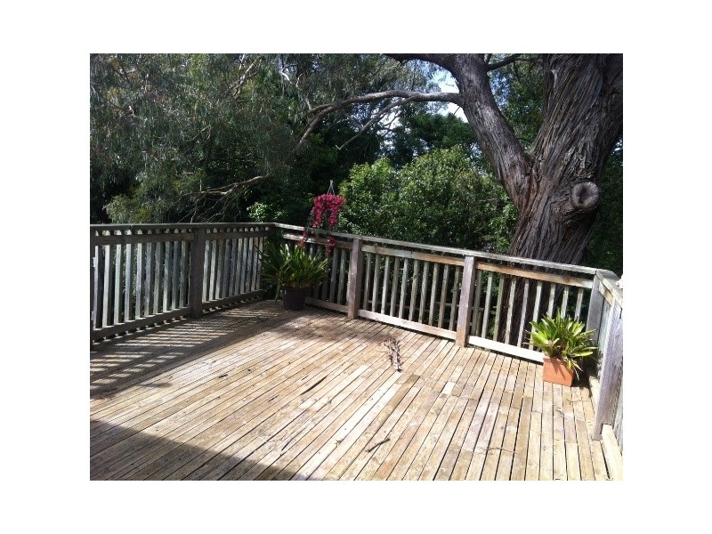 24 Hamel Street, Box Hill South VIC 3128