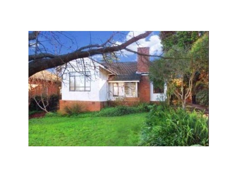 7 Hamel Street, Box Hill South VIC 3128