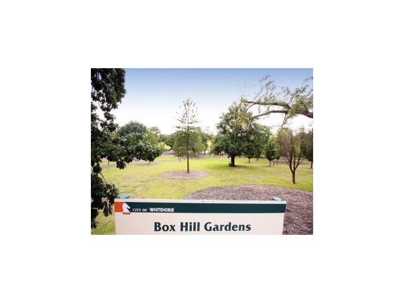 16/95 Thames Street, Box Hill VIC 3128