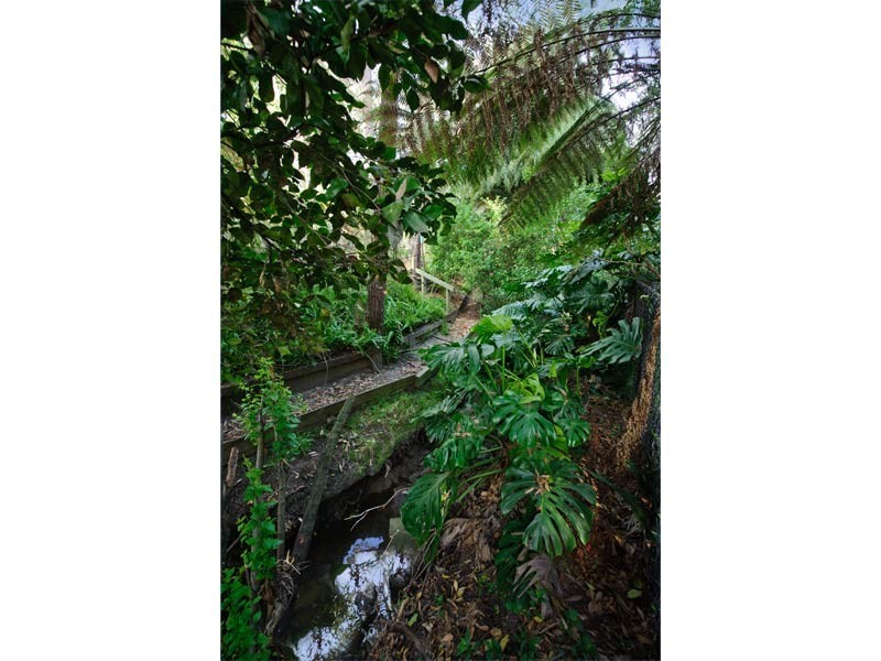 21 Rose Avenue, Surrey Hills VIC 3127