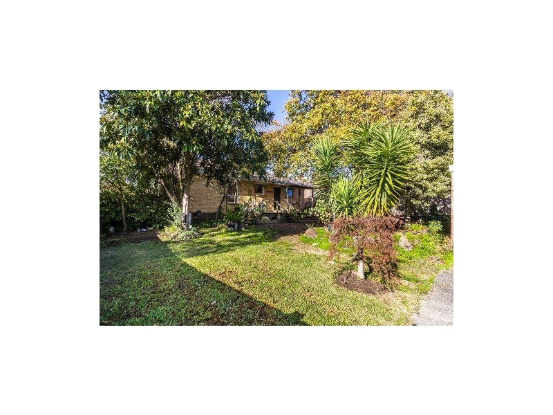 74 Orchard Grove, Blackburn South VIC 3130