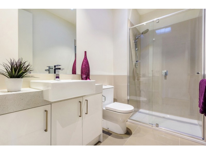 2-6 /10 Camelia Street, Box Hill VIC 3128