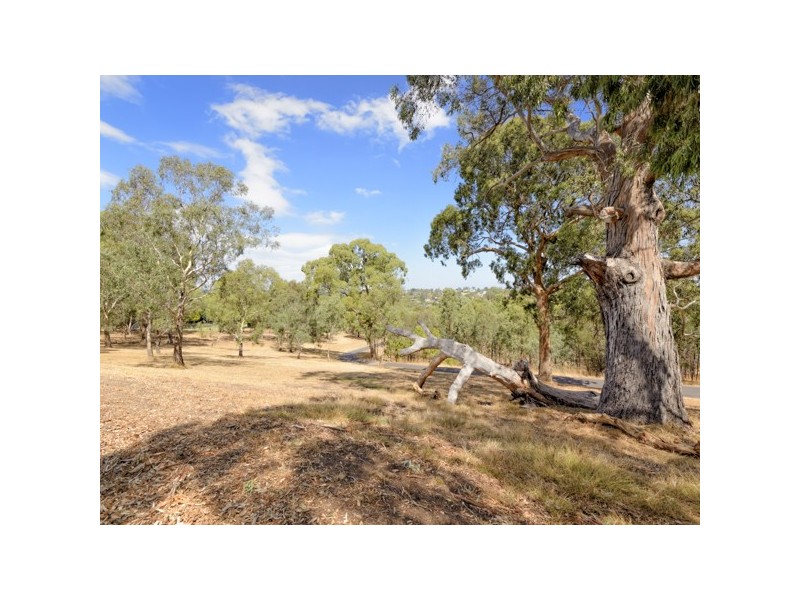 63 Porter Street, Templestowe VIC 3106