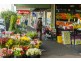 2 Springfield Road, Blackburn VIC 3130