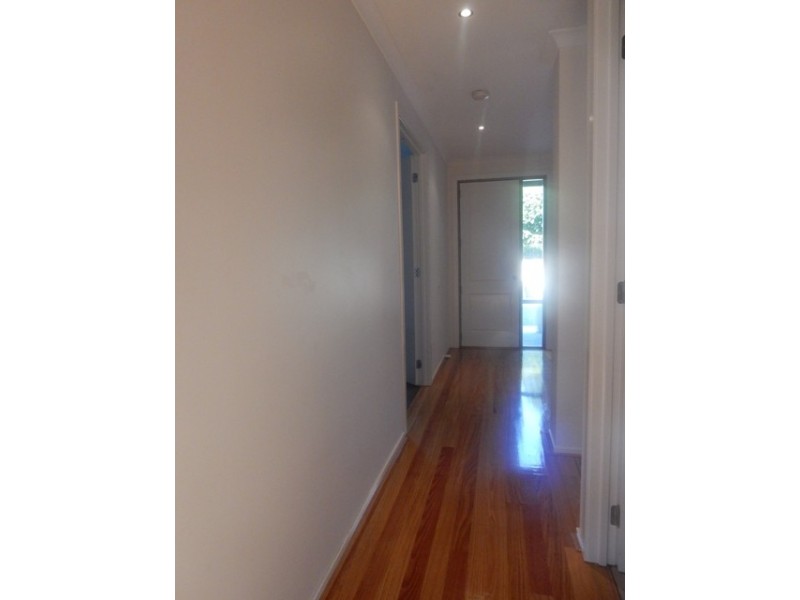49 Clota Avenue, Box Hill VIC 3128