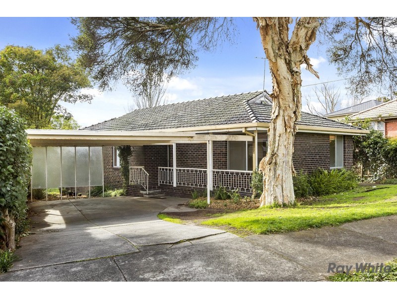 3 Alberta Avenue, Box Hill North VIC 3129