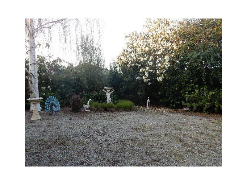 6 Heathfield Rise, Box Hill North VIC 3129