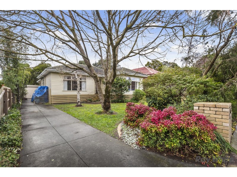7 Halsey Street, Box Hill South VIC 3128