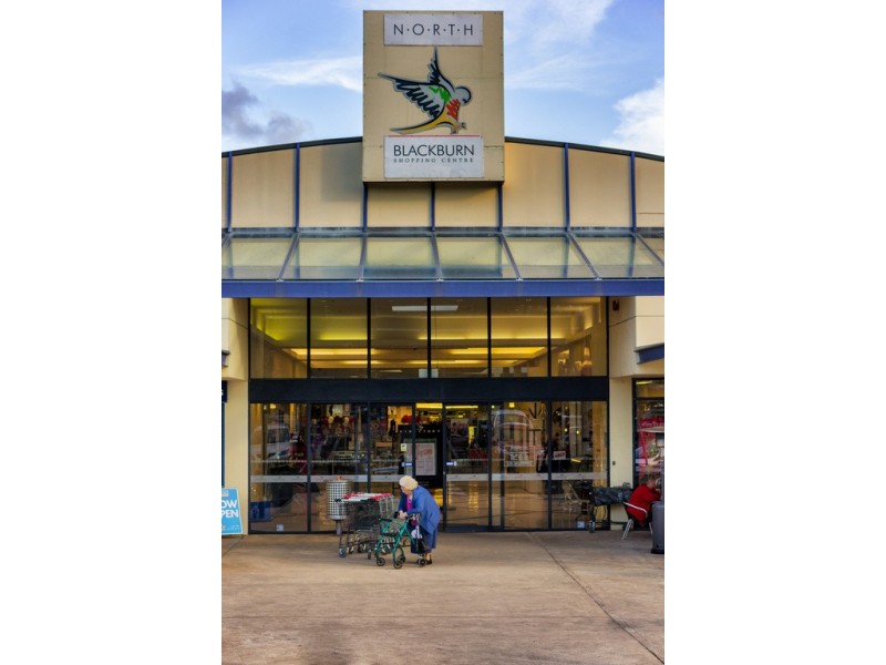 73 Katrina Street, Blackburn North VIC 3130