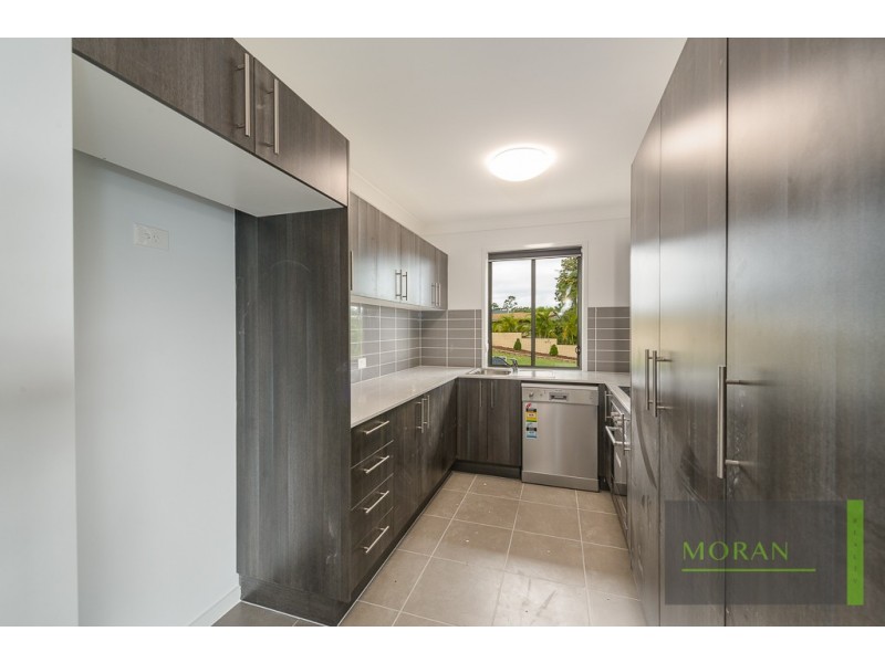 20 Mitchell Avenue, Molendinar QLD 4214