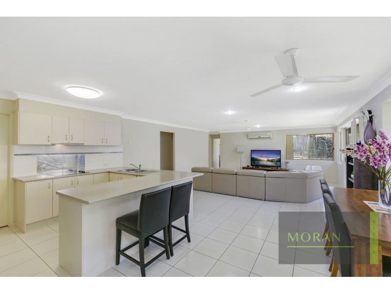 24 Silkwood Way, Molendinar QLD 4214