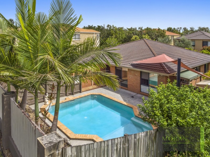 17 Gumleaf Drive, Molendinar QLD 4214