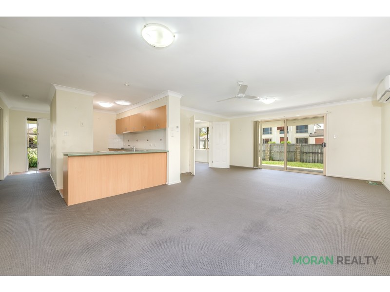 8 Sugargum Court, Molendinar QLD 4214