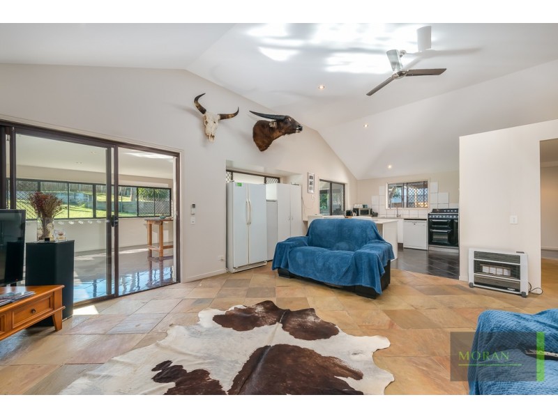 53 Macquarie Avenue, Molendinar QLD 4214