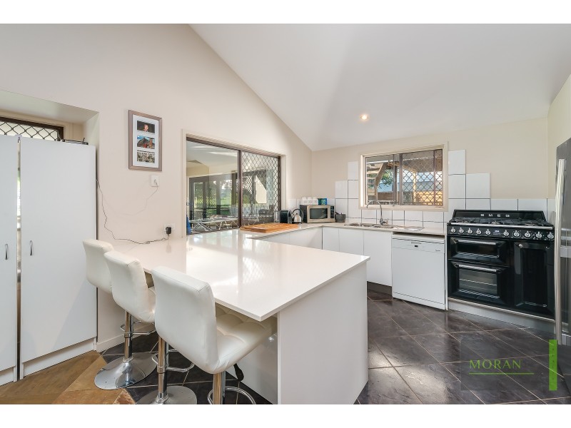 53 Macquarie Avenue, Molendinar QLD 4214