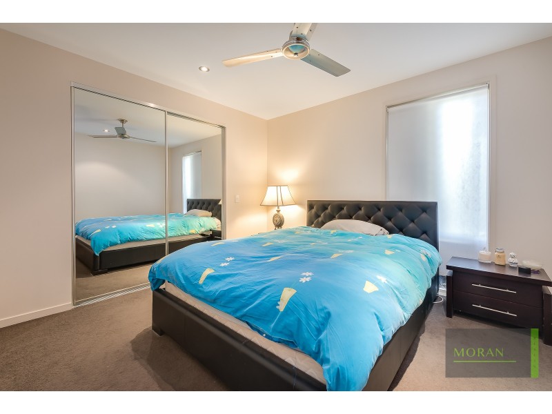 53 Macquarie Avenue, Molendinar QLD 4214