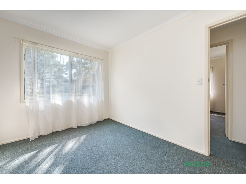 19 Mount Street, Nerang QLD 4211